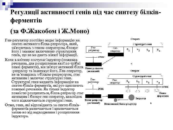 Регуляції активності генів під час синтезу білківферментів (за Ф. Жакобом і Ж. Моно) Ген