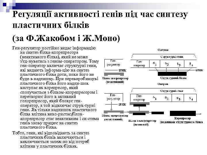 Регуляції активності генів під час синтезу пластичних білків (за Ф. Жакобом і Ж. Моно)