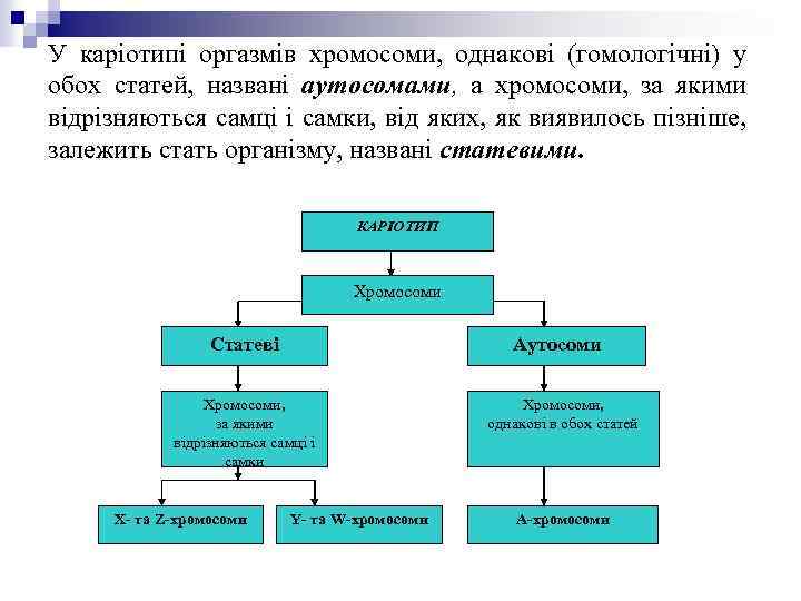 У каріотипі оргазмів хромосоми, однакові (гомологічні) у обох статей, названі аутосомами, а хромосоми, за