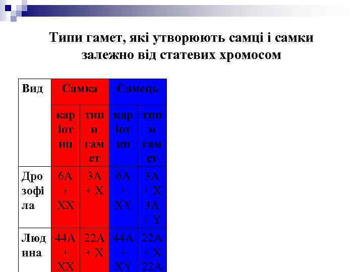 Типи гамет, які утворюють самці і самки залежно від статевих хромосом Вид Самка Самець