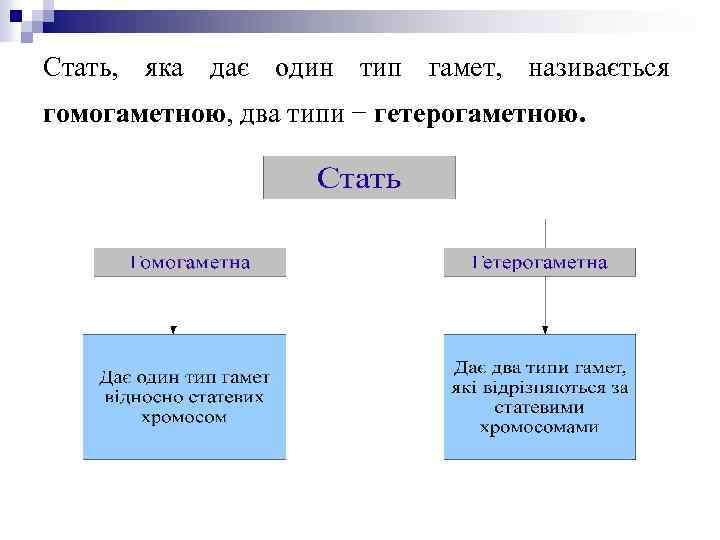 Стать, яка дає один тип гамет, називається гомогаметною, два типи − гетерогаметною. 