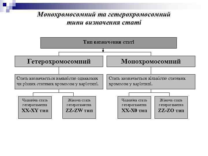 Монохромосомний та гетерохромосомний типи визначення статі Тип визначення статі Гетерохромосомний Стать визначається наявністю однакових