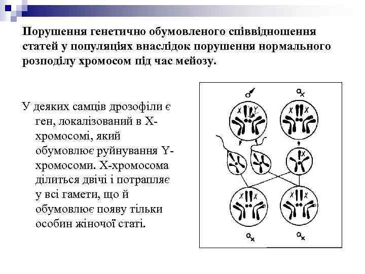 Порушення генетично обумовленого співвідношення статей у популяціях внаслідок порушення нормального розподілу хромосом під час