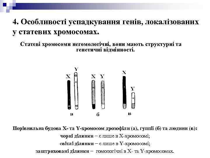 4. Особливості успадкування генів, локалізованих у статевих хромосомах. Статеві хромосоми негомологічні, вони мають структурні
