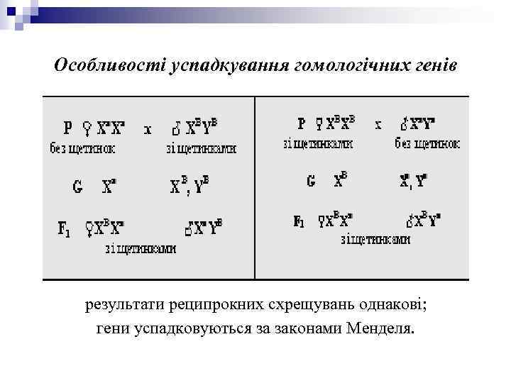 Особливості успадкування гомологічних генів: результати реципрокних схрещувань однакові; гени успадковуються за законами Менделя. 