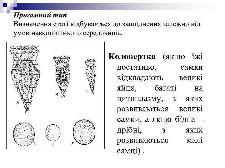 Прогамний тип Визначення статі відбувається до запліднення залежно від умов навколишнього середовища. Коловертка (якщо