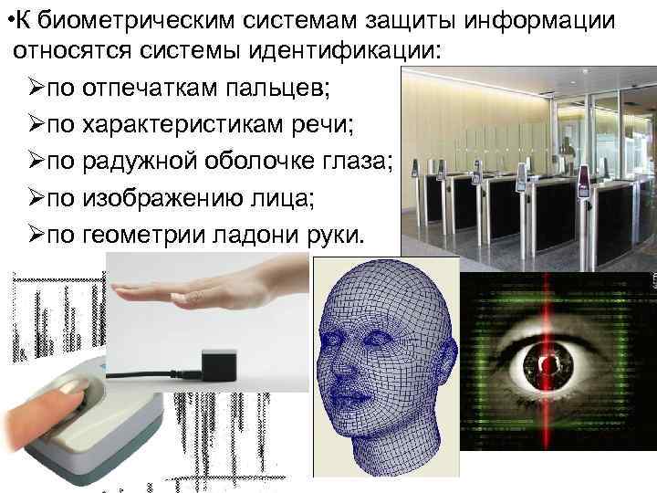  • К биометрическим системам защиты информации относятся системы идентификации: Øпо отпечаткам пальцев; Øпо