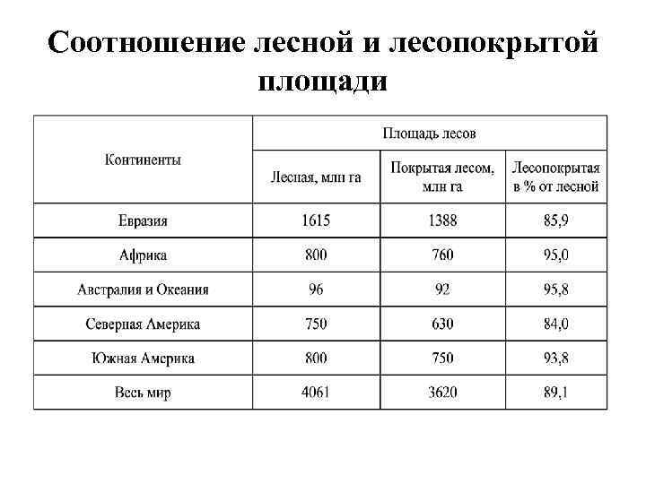 Страны лидеры по древесине