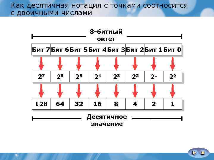 Как десятичная нотация с точками соотносится с двоичными числами 8 битный октет Бит 7