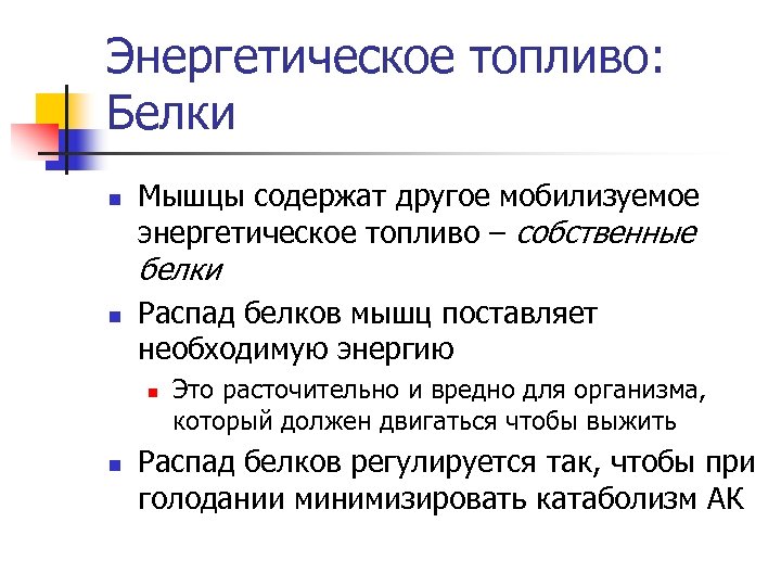 Энергетическое топливо: Белки n Мышцы содержат другое мобилизуемое энергетическое топливо – собственные белки n