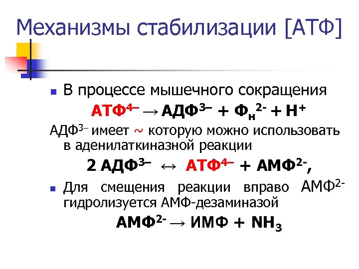 Механизмы стабилизации [АТФ] n В процессе мышечного сокращения АТФ 4– → АДФ 3– +