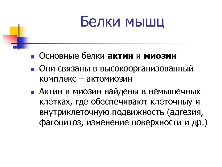 Высокий белок в мышцах. Основные белки мышц.