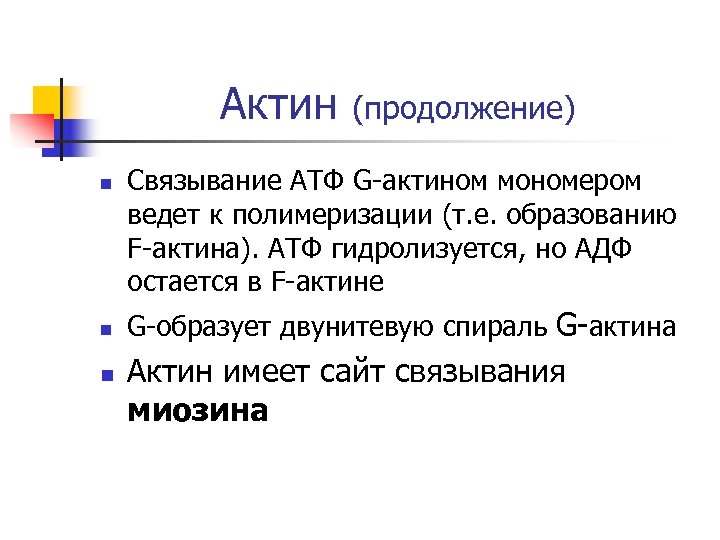 Актин n n n (продолжение) Связывание АТФ G-актином мономером ведет к полимеризации (т. e.