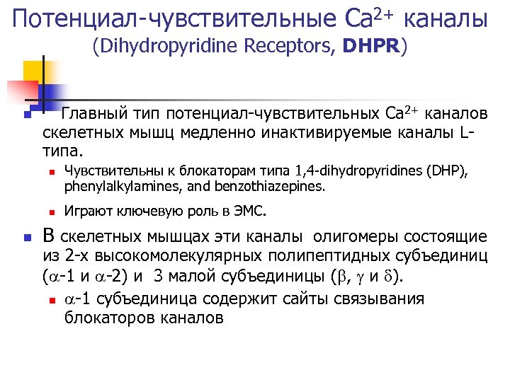 Потенциал-чувствительные Ca 2+ каналы (Dihydropyridine Receptors, DHPR) n Главный тип потенциал-чувствительных Ca 2+ каналов