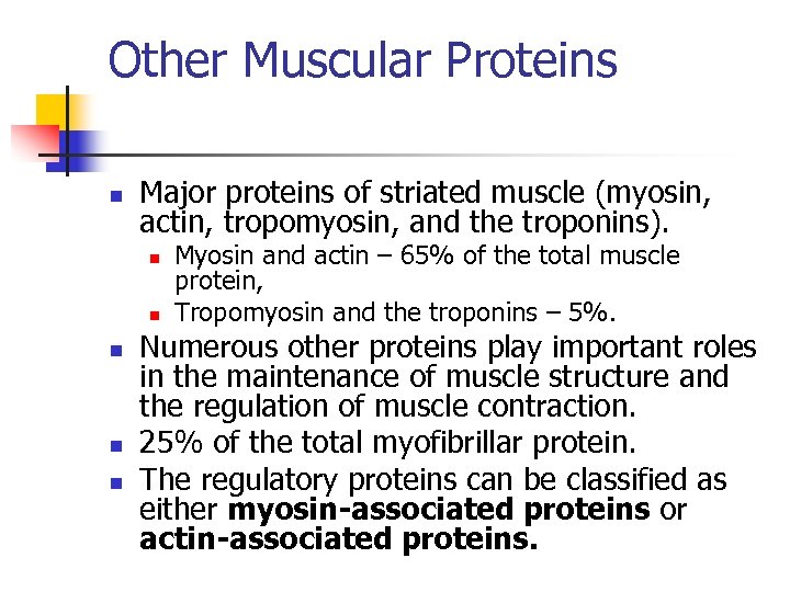 Other Muscular Proteins n Major proteins of striated muscle (myosin, actin, tropomyosin, and the