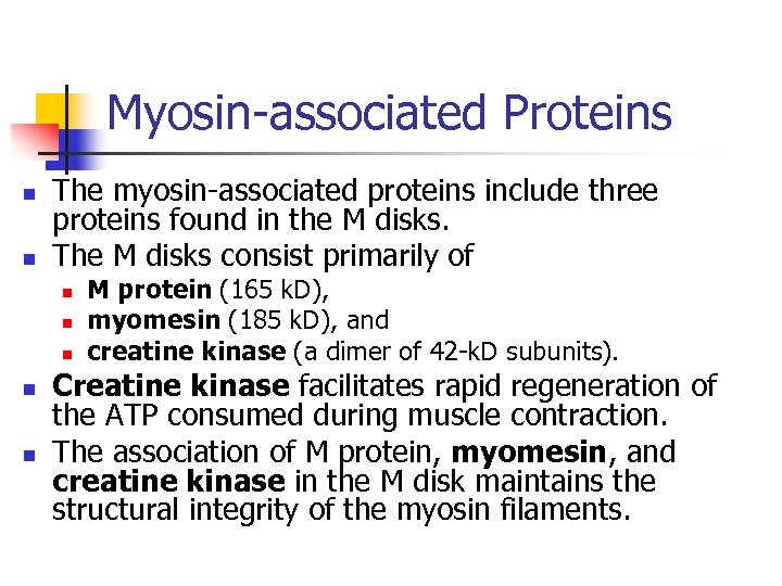 Myosin-associated Proteins n n The myosin-associated proteins include three proteins found in the M