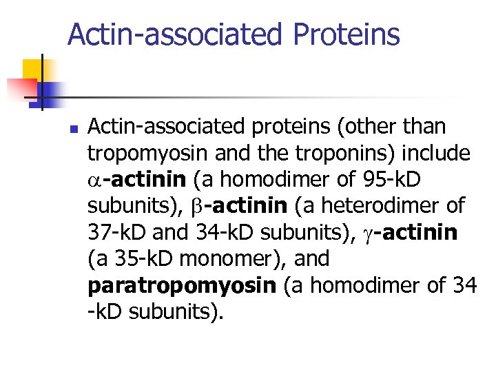 Actin-associated Proteins n Actin-associated proteins (other than tropomyosin and the troponins) include a-actinin (a