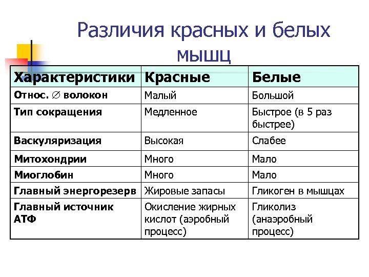 Различия красных и белых мышц Характеристики Красные Белые Относ. волокон Малый Большой Тип сокращения