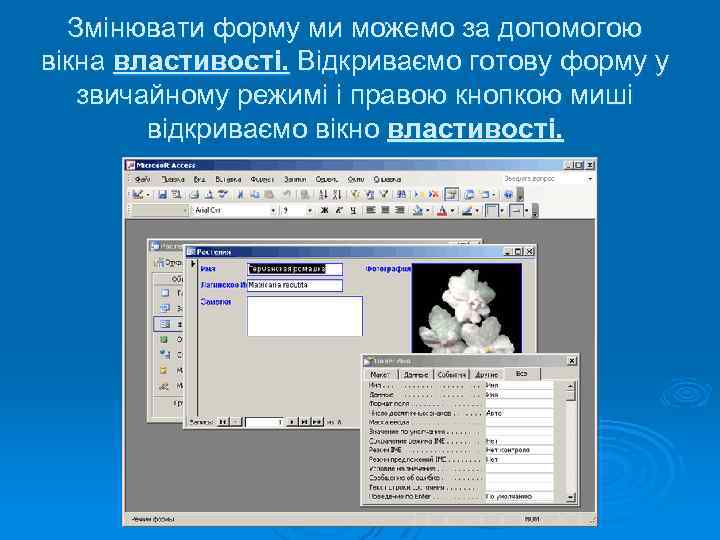 Змінювати форму ми можемо за допомогою вікна властивості. Відкриваємо готову форму у звичайному режимі