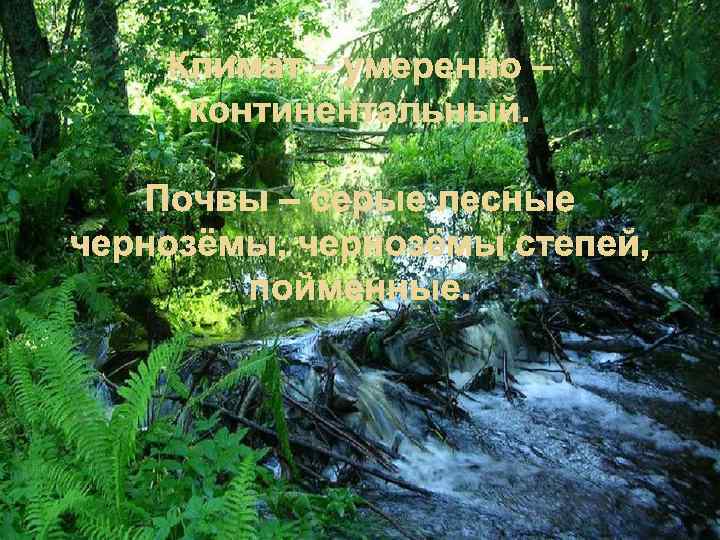 Климат – умеренно – континентальный. Почвы – серые лесные чернозёмы, чернозёмы степей, пойменные. 