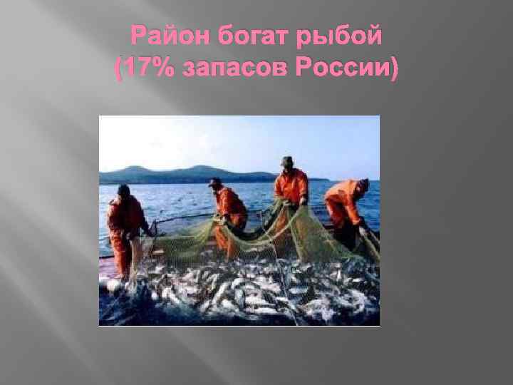 Район богат рыбой (17% запасов России) 