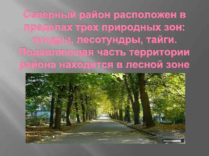 Северный район расположен в пределах трех природных зон: тундры, лесотундры, тайги. Подавляющая часть территории