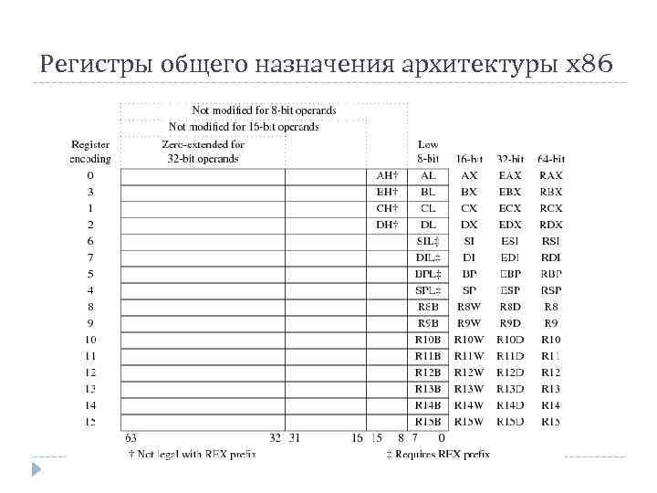 Регистры общего назначения архитектуры x 86 