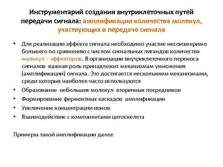 Инструментарий создания внутриклеточных путей передачи сигнала: амплификация количества молекул, участвующих в передаче сигнала •