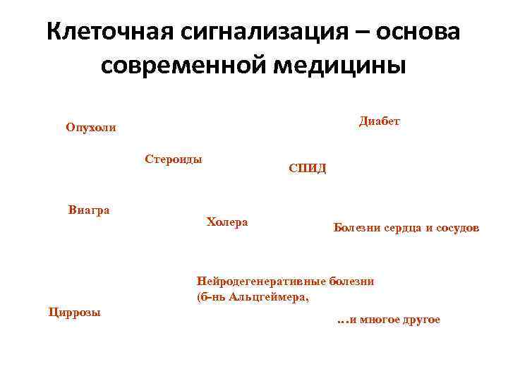 Клеточная сигнализация – основа современной медицины Диабет Опухоли Стероиды Виагра СПИД Холера Болезни сердца