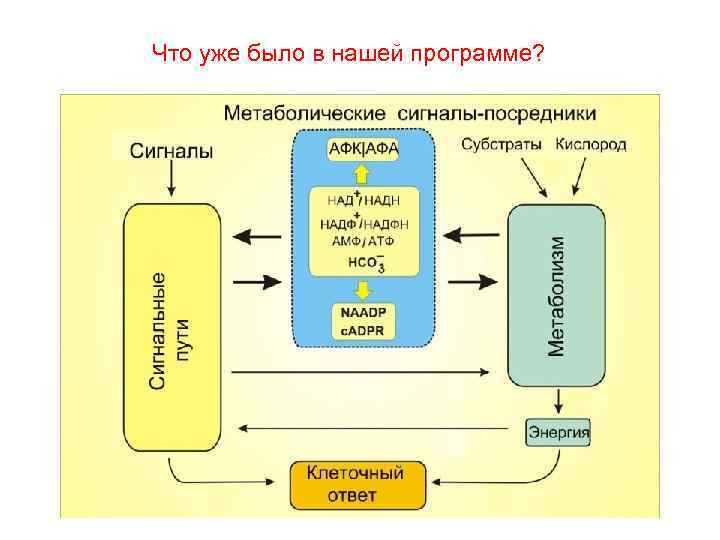 Что уже было в нашей программе? 