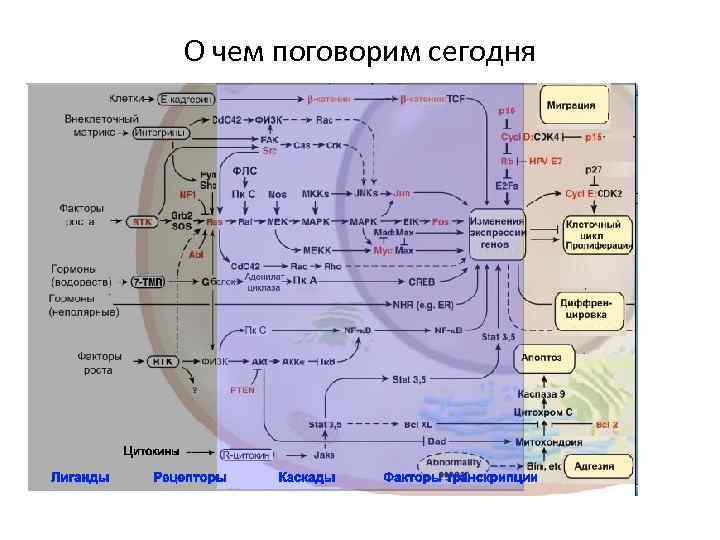 О чем поговорим сегодня 