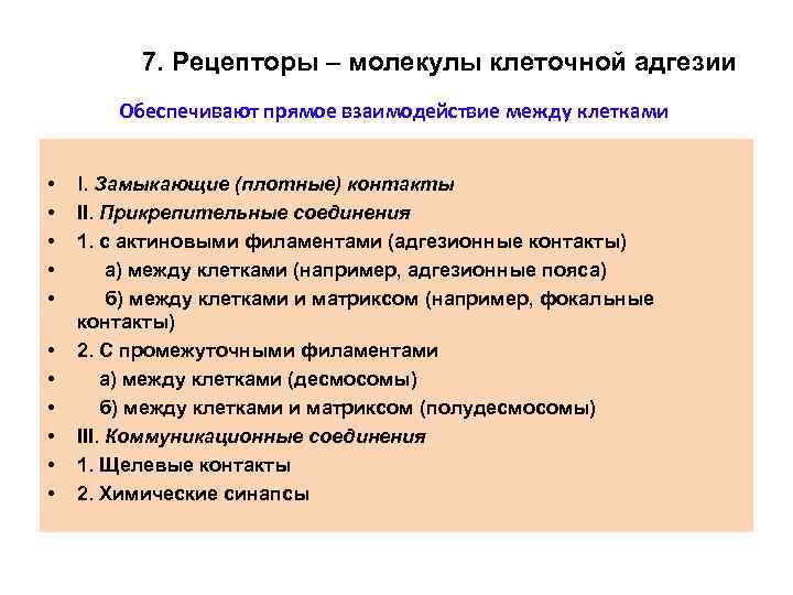 7. Рецепторы – молекулы клеточной адгезии Обеспечивают прямое взаимодействие между клетками • • •