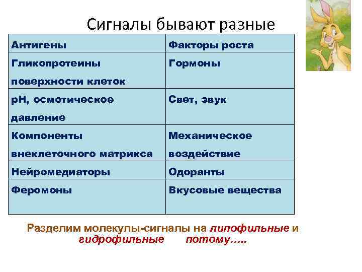 Сигналы бывают разные Антигены Факторы роста Гликопротеины Гормоны поверхности клеток р. Н, осмотическое Свет,