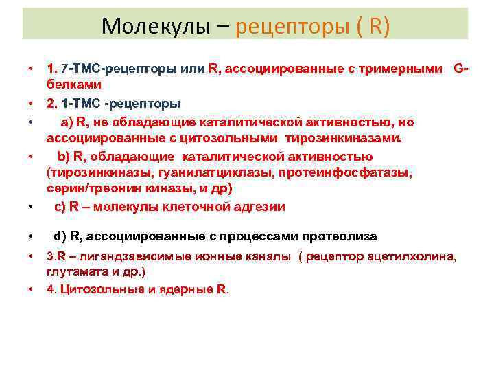 Молекулы – рецепторы ( R) • • 1. 7 -ТМС-рецепторы или R, ассоциированные с