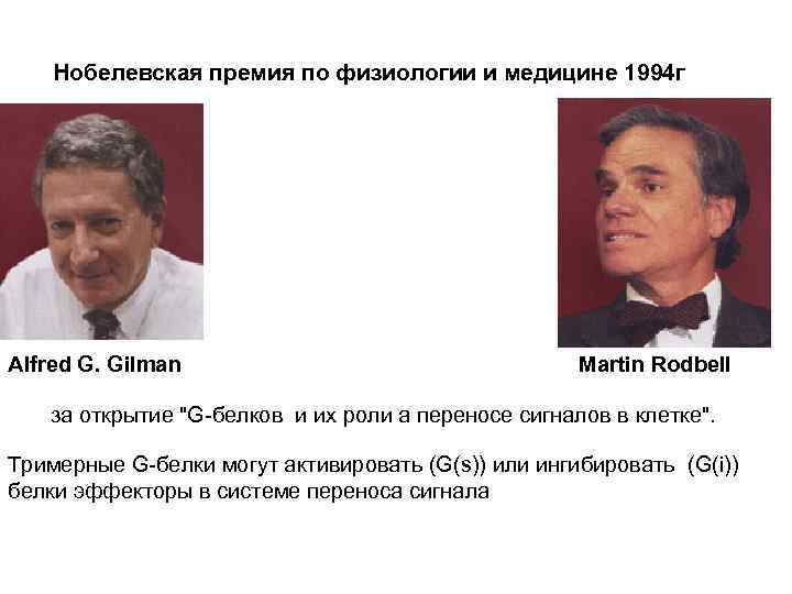 Нобелевская премия по физиологии и медицине 1994 г Alfred G. Gilman Martin Rodbell за