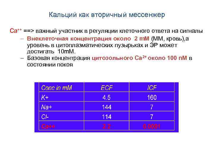 Кальций как вторичный мессенжер Ca++ ==> важный участник в регуляции клеточного ответа на сигналы