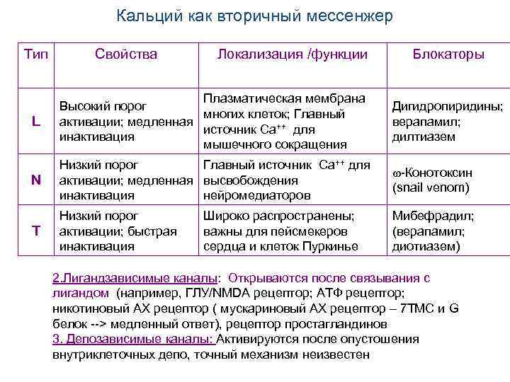 Кальций как вторичный мессенжер Тип Свойства Локализация /функции Блокаторы L Плазматическая мембрана Высокий порог