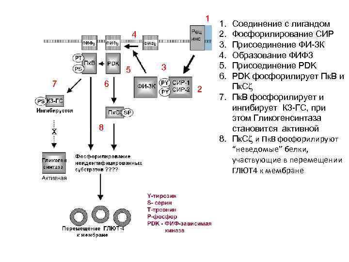 1 4 5 7 6 8 3 2 1. 2. 3. 4. 5. 6.