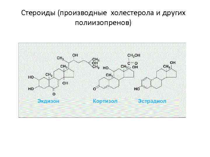 Стероиды (производные холестерола и других полиизопренов) 