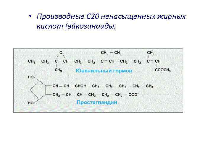  • Производные С 20 ненасыщенных жирных кислот (эйкозаноиды) 