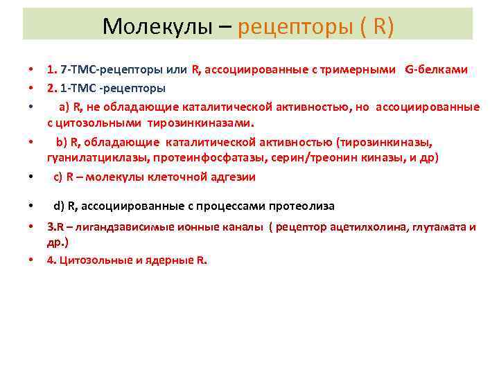 Молекулы – рецепторы ( R) • • 1. 7 -ТМС-рецепторы или R, ассоциированные с