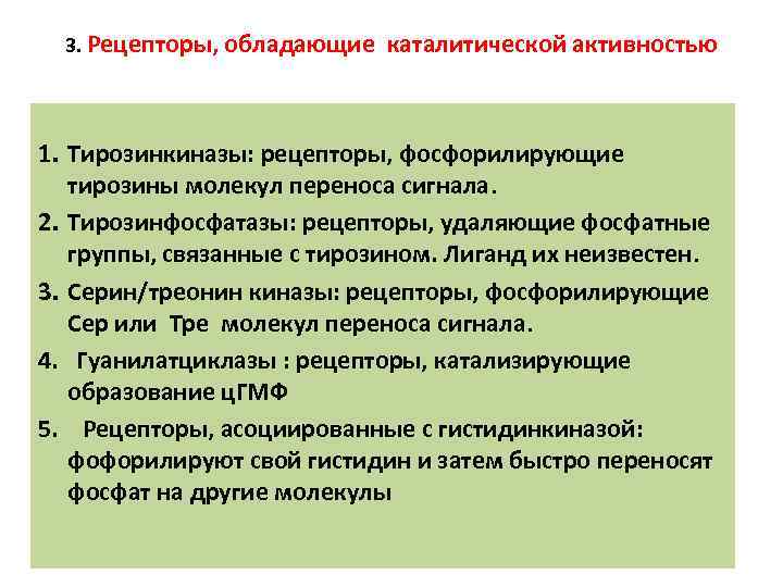 3. Рецепторы, обладающие каталитической активностью 1. Тирозинкиназы: рецепторы, фосфорилирующие тирозины молекул переноса сигнала. 2.