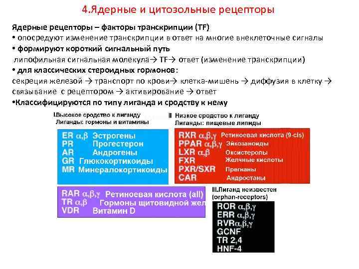 4. Ядерные и цитозольные рецепторы Ядерные рецепторы – факторы транскрипции (TF) • опосредуют изменение