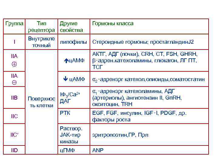 Группа I IIA IIB IIC Тип Другие рецептора свойства Гормоны класса Внутрикле липофилы Стероидные