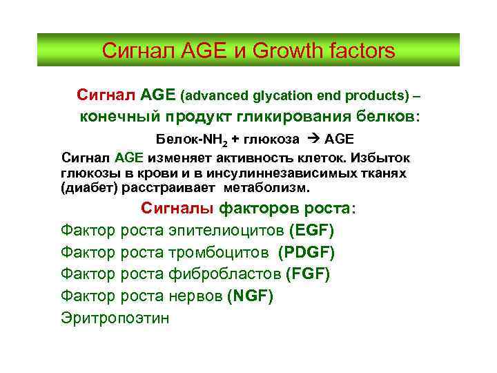 Сигнал AGE и Growth factors Сигнал AGE (advanced glycation end products) – конечный продукт