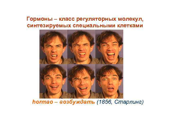Гормоны – класс регуляторных молекул, синтезируемых специальными клетками hormao – возбуждать (1856, Старлинг) 