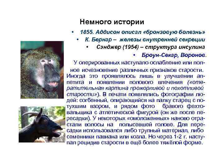 Немного истории • 1855. Аддисон описал «бронзовую болезнь» • К. Бернар – железы внутренней