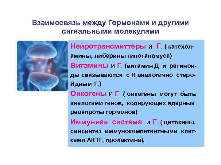 Взаимосвязь между Гормонами и другими сигнальными молекулами Нейротрансмиттеры и Г. ( катехоламины, либерины гипоталамуса)