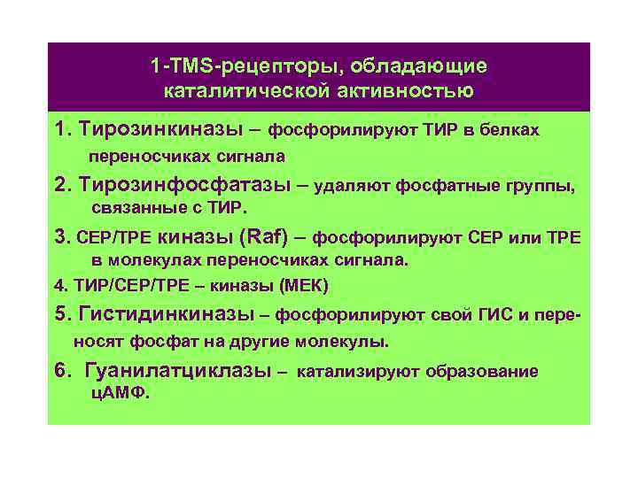 1 -TMS-рецепторы, обладающие каталитической активностью 1. Тирозинкиназы – фосфорилируют ТИР в белках переносчиках сигнала