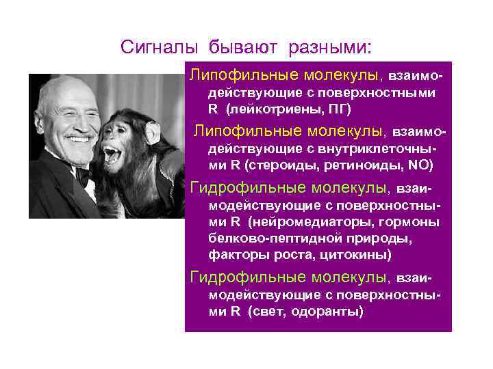Сигналы бывают разными: Липофильные молекулы, взаимодействующие с поверхностными R (лейкотриены, ПГ) Липофильные молекулы, взаимодействующие